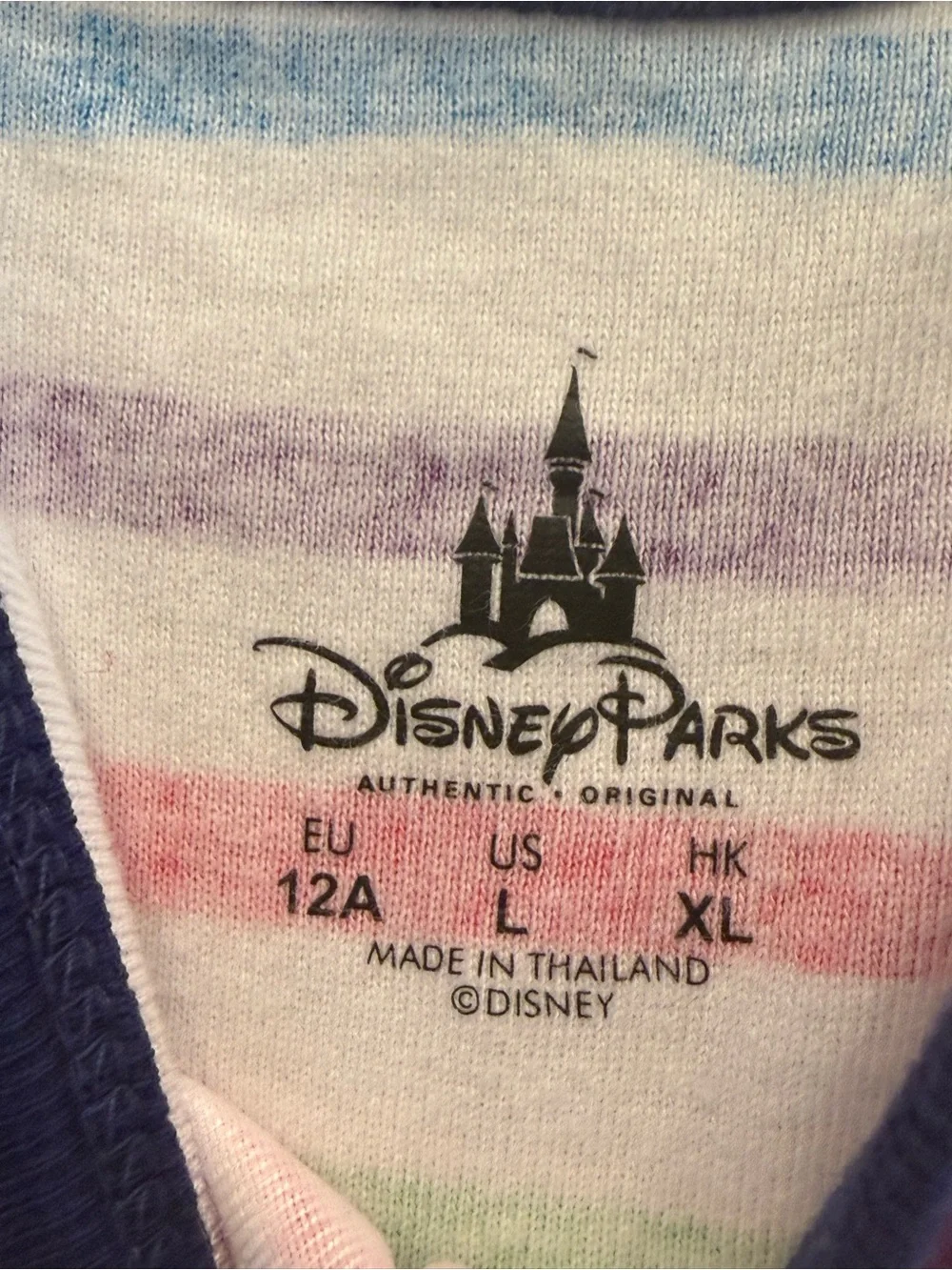 Disney World matching outfit bundle